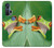 S1047 Little Frog Case For Motorola Edge+