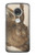S3781 Albrecht Durer Young Hare Case For Motorola Moto G7, Moto G7 Plus
