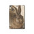 S3781 Albrecht Durer Young Hare Hard Case For iPad mini 4, iPad mini 5, iPad mini 5 (2019)