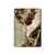 S0179 Michelangelo Creation of Adam Hard Case For iPad 9.7 (2017,2018), iPad 6, iPad 5