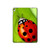 S0892 Ladybug Hard Case For iPad 9.7 (2017,2018), iPad 6, iPad 5