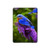 S1565 Bluebird of Happiness Blue Bird Hard Case For iPad Pro 10.5, iPad Air (2019, 3rd)
