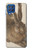 S3781 Albrecht Durer Young Hare Case For Samsung Galaxy M62