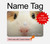 S1619 Cute Guinea Pig Hard Case For MacBook Air 13″ - A1369, A1466