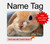 S0242 Cute Rabbit Hard Case For MacBook Pro Retina 13″ - A1425, A1502