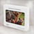 S3558 Bear Family Hard Case For MacBook Pro Retina 13″ - A1425, A1502