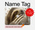 S3559 Sloth Pattern Hard Case For MacBook Pro 16″ - A2141