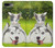 S3795 Grumpy Kitten Cat Playful Siberian Husky Dog Paint Case For iPhone 7 Plus, iPhone 8 Plus