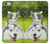 S3795 Grumpy Kitten Cat Playful Siberian Husky Dog Paint Case For iPhone 6 6S