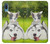 S3795 Grumpy Kitten Cat Playful Siberian Husky Dog Paint Case For Samsung Galaxy A04, Galaxy A02, M02
