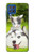 S3795 Grumpy Kitten Cat Playful Siberian Husky Dog Paint Case For Samsung Galaxy M62