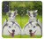S3795 Grumpy Kitten Cat Playful Siberian Husky Dog Paint Case For Samsung Galaxy Quantum 2