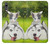 S3795 Grumpy Kitten Cat Playful Siberian Husky Dog Paint Case For Huawei P20