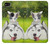 S3795 Grumpy Kitten Cat Playful Siberian Husky Dog Paint Case For Google Pixel 2