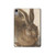 S3781 Albrecht Durer Young Hare Hard Case For iPad mini 6, iPad mini (2021)