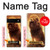 S1957 Lion Aslan Case For Google Pixel 6
