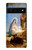 S2276 The Nativity Case For Google Pixel 6