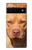 S2903 American Pitbull Dog Case For Google Pixel 6