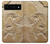 S0380 Dinosaur Fossil Case For Google Pixel 6 Pro