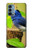 S3839 Bluebird of Happiness Blue Bird Case For OnePlus Nord N200 5G