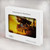 S0841 Pirates Black Pearl Hard Case For MacBook Pro 16 M1,M2 (2021,2023) - A2485, A2780