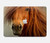 S1595 Beautiful Brown Horse Hard Case For MacBook Pro 16 M1,M2,M3,M4 (2021,2024) - A3403, A3186, A2991, A2780, A2485