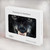 S2823 Black Wolf Blue Eyes Face Hard Case For MacBook Pro 16 M1,M2,M3,M4 (2021,2024) - A3403, A3186, A2991, A2780, A2485