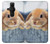 S0242 Cute Rabbit Case For Sony Xperia Pro-I