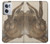S3781 Albrecht Durer Young Hare Case For OnePlus Nord CE 2 5G
