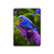 S1565 Bluebird of Happiness Blue Bird Hard Case For iPad Air (2020, 2022), Air 11 (2024,2025,2026), Pro 11 (2022)