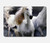 S0246 White Horse Hard Case For MacBook Air 13″ (2022,2025) - A2681, A3113, A3240