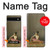 S1241 Ballet Case For Google Pixel 6a