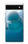 S1801 Beluga Whale Smile Whale Case For Google Pixel 6a