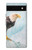 S3843 Bald Eagle On Ice Case For Google Pixel 6a
