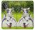S3795 Kitten Cat Playful Siberian Husky Dog Paint Case For OnePlus Nord N20 5G