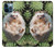 S3863 Pygmy Hedgehog Dwarf Hedgehog Paint Case For iPhone 12 Pro Max