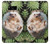 S3863 Pygmy Hedgehog Dwarf Hedgehog Paint Case For Samsung Galaxy S8 Plus