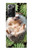 S3863 Pygmy Hedgehog Dwarf Hedgehog Paint Case For Samsung Galaxy Note 20 Ultra, Ultra 5G