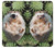 S3863 Pygmy Hedgehog Dwarf Hedgehog Paint Case For Google Pixel 2