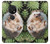 S3863 Pygmy Hedgehog Dwarf Hedgehog Paint Case For Nokia 7.2