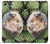 S3863 Pygmy Hedgehog Dwarf Hedgehog Paint Case For Sony Xperia XZ Premium