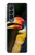 S3876 Colorful Hornbill Case For Samsung Galaxy Z Fold 4