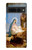 S2276 The Nativity Case For Google Pixel 7 Pro