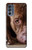 S0519 PitBull Face Case For Motorola Moto G62 5G