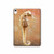 S2674 Seahorse Skeleton Fossil Hard Case For iPad 10.9 (2025,2022)