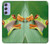S1047 Little Frog Case For Samsung Galaxy A54 5G