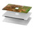 S3917 Capybara Family Giant Guinea Pig Hard Case For MacBook Air 13″ - A1932, A2179, A2337