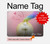 S3923 Cat Bottom Rainbow Tail Hard Case For MacBook Pro 16 M1,M2,M3,M4 (2021,2024) - A3403, A3186, A2991, A2780, A2485