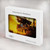 S0841 Pirates Black Pearl Hard Case For MacBook Air 15″ (2023,2024,2025) - A2941, A3114, A3241