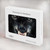 S2823 Black Wolf Blue Eyes Face Hard Case For MacBook Air 15″ (2023,2024,2025) - A2941, A3114, A3241